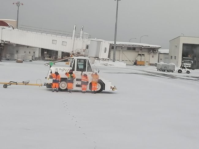 ４日目<br /><br /><br />今日で青森とはさようならです。<br />　　<br />雪で飛行機が飛べなくなったら困るな、と心配しましたが杞憂でした。