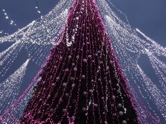 大聖堂横にあるカテドゥロス広場では、マーケットが開かれていました。
その真ん中には、大きなクリスマスツリー！