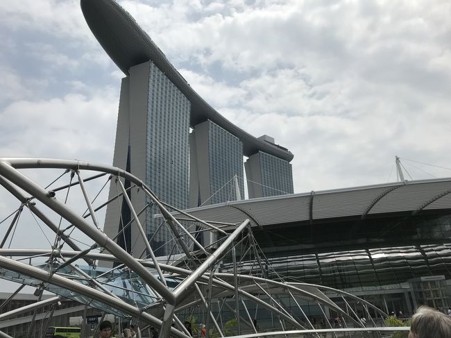 橋の上からマリーナベイサンズ