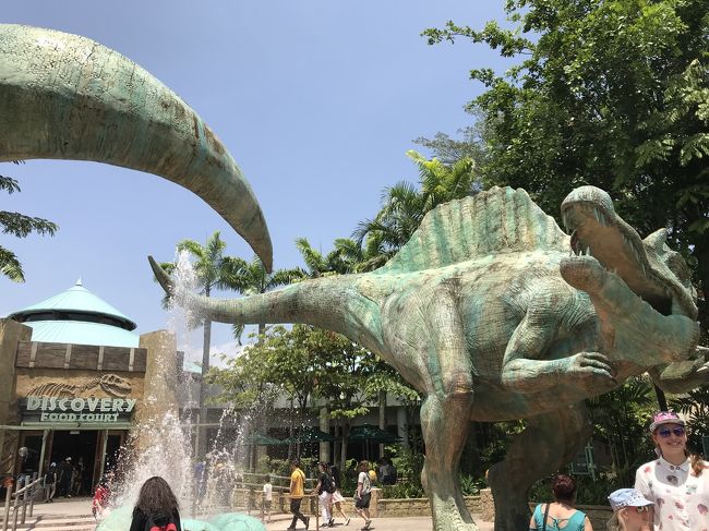 余裕がなかったので、サイクロンとかトランスフォーマーに乗れず