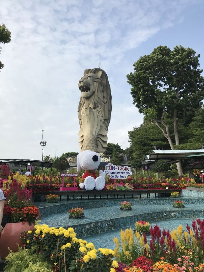 ４日目。今回は登ってません。