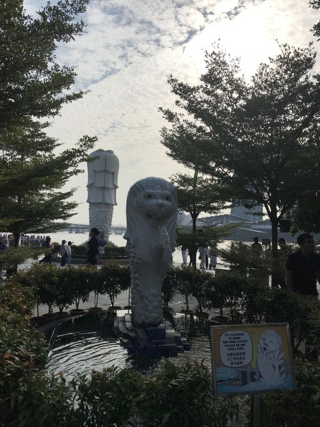 子は親の背中を見て･･･ん?