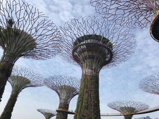 夜はどうかな？