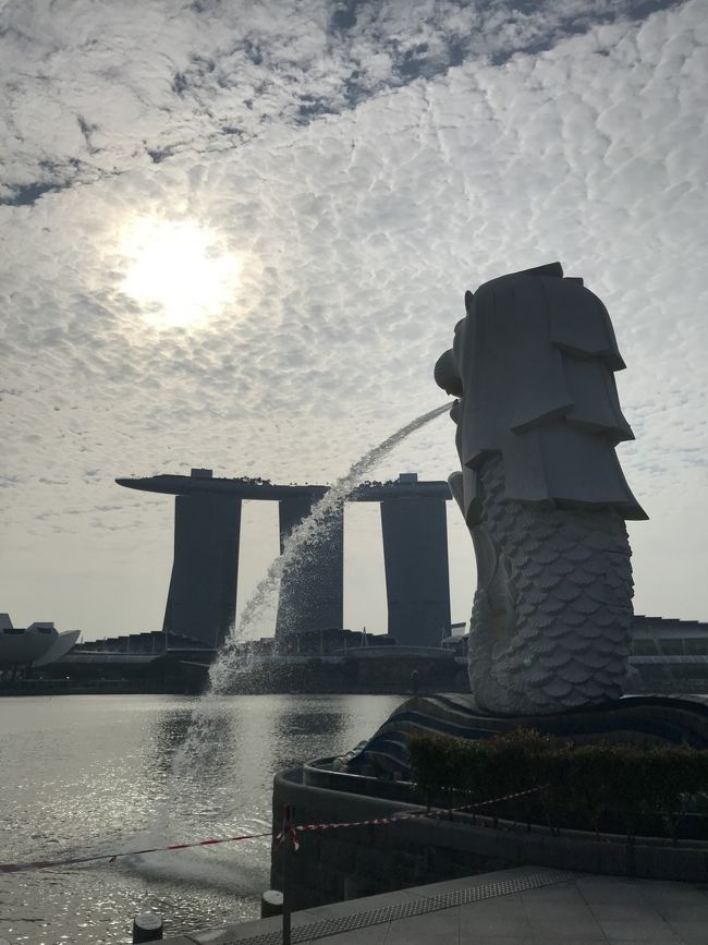 夕方に見えますが、朝です