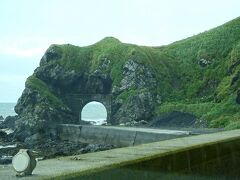 広尾町辺りから，海沿いをトンネル・カーブ・トンネル…が続く道を走ります