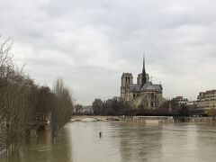 ヴァンヴの蚤の市から中心部へ

ノートルダム大聖堂の後ろ姿。
セーヌ川の水位は相変わらず高い。

&#9410;️13号線Porte de Vanves → Duroc 10号線→Cluny La Sorbonne 