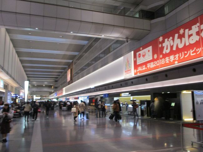 そして、激コミ<br /><br />元旦から移動する人がこんない多いなんて思わなかった。