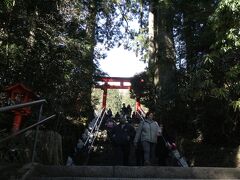 食べたらすぐに、箱根神社へ向かいます。
歩いて5分くらい？けっこう近いです。
