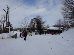 バタバタしつつ旭山動物園に到着、ここでも自由時間は１時間しかない。
東口から入って急いで斜面を下りていく。
