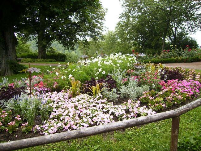 庭園はお花がいっぱいでした