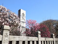 花王の野良梅の道が終わると、小村井の香取神社に到着。
東京都墨田区文花（ぶんか）

小さな神社であまり有名ではないのですが、ここの梅が凄いのです。
