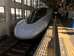 宮島を14:00に出発！
連絡船、普通列車を乗り継いで広島駅に14:50着。
コインロッカーに突っ込んだ荷物を出して14:59のの新幹線に何とか間に合った！
これ乗れないと一時間もロス出ちゃうので助かったー！
先っぽ見せないと子供には新幹線だとわからないので、急いで見に行きました！