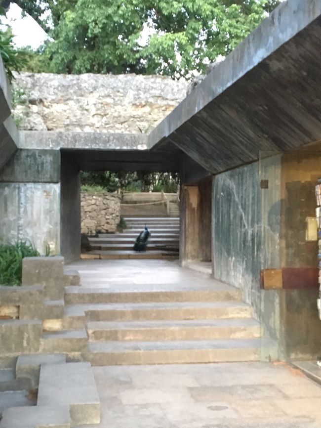 お城の中を散策に・・・あの後ろ姿は・・・・