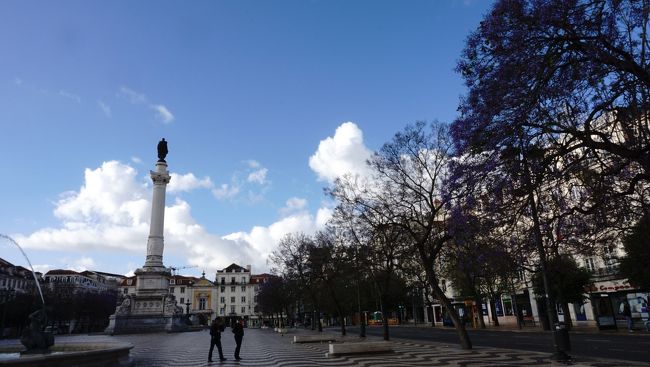 翌日はシントラにいくために朝早く始動！駅前のスタバで朝食を済ませ、ロシオ広場を散策。ハカランダのお花がまだ残っていました！