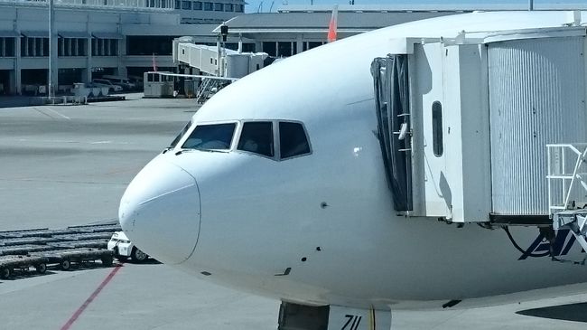 かわいいいなぁ～