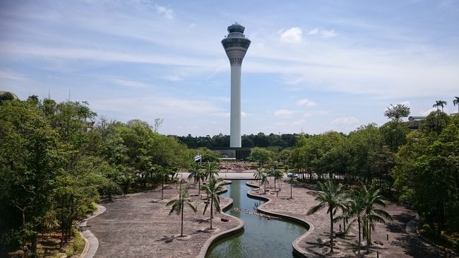 明るくなりましたね～