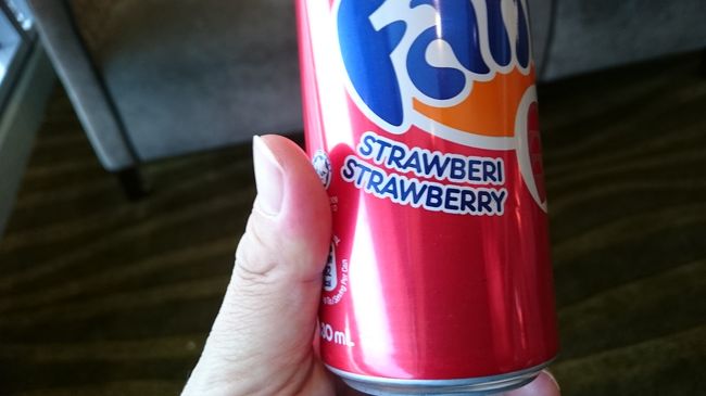 イチゴかい！？<br />・・・と言う、なんのヒネリもない面白くもない旅行記で本当に申し訳ございません。<br />PartⅢに続きます。