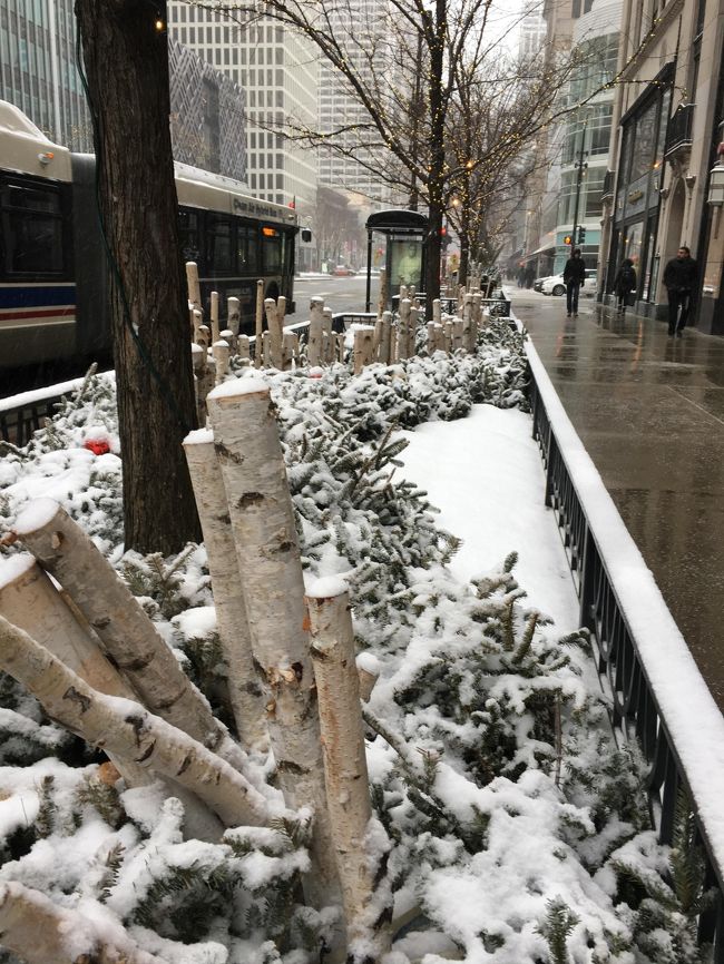 酷寒シカゴ必死の満喫日記 その 雪のシカゴ必死の街歩き 晩ご飯難民 そして帰国篇 シカゴ アメリカ の旅行記 ブログ By Porculsさん フォートラベル