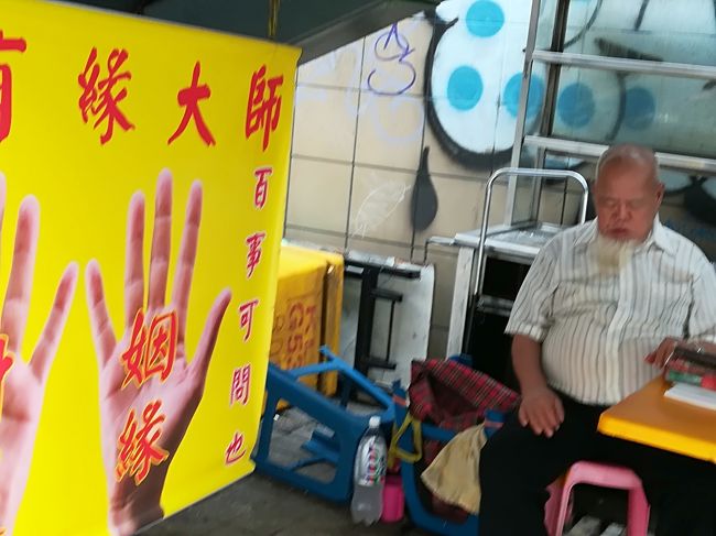 中華街、占い師（お昼寝中、平和です）