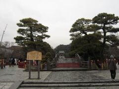 鶴ケ岡八幡宮
この日は最高気温が６度と寒い日でした。