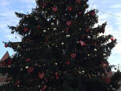 広場のクリスマスツリーがまだ撤去されずに残ってた。