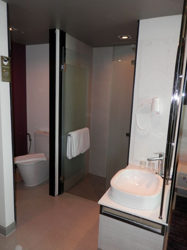 バスルームはシャワーのみでバスタブ無です。