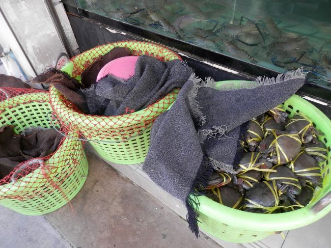 活きの良いカニさんが一杯いました。