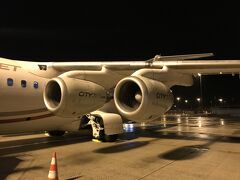 乗ってきた飛行機はエールフランスのコードですが運行はシティジェットです。