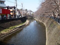 大岡川。春になると両岸は桜が見事に咲きます。