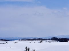 午後は一部青空も見えてきました