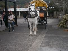 同じく駅前にある観光辻馬車。

白いお馬さん、可愛い。

こちらも観光協会さんで予約しないと……ということで、
スカーボロと以下同文（苦笑）
