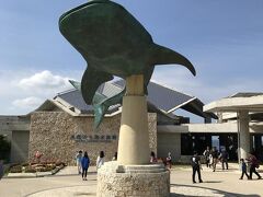 さてお次は美ら海水族館。本日のメインです。
水族館に近いＰ７駐車場にすんなり止められて拍子抜け。
立体駐車場に入って右端奥にあるエレベーター付近が便利。

１４時くらいでしが学生団体が多くすごい人でした。。