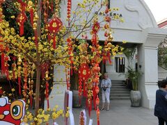 ツアーお約束の免税店
もう春節で、中国人ご一行様の歓迎ムード一色。
我々とは購買力が違います。