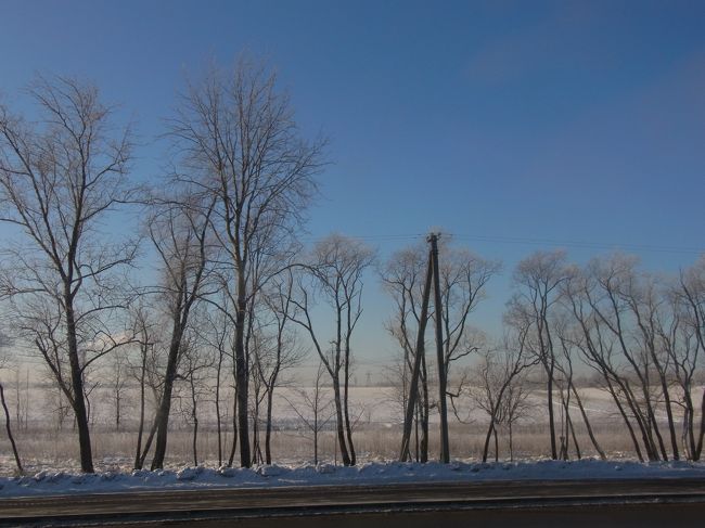バスでサンクトペテルブルクに戻る。