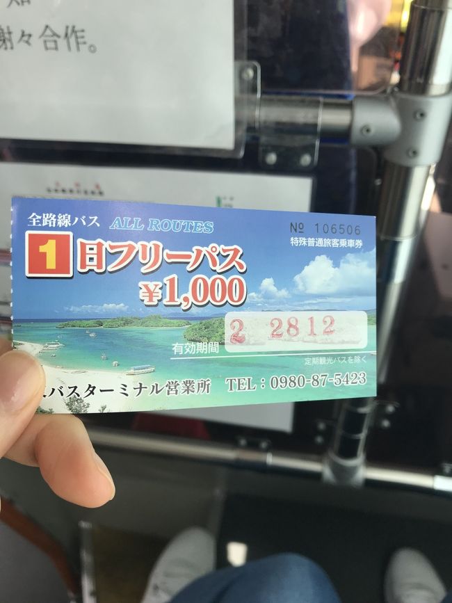 空港から出るとちょうどバスが待ってた！<br />フリーパスを運転手さんから購入。<br />市街地までの往復も千円以上かかるのでお得！<br /><br />でもマジョリティはレンタカーなんやろうなあー。