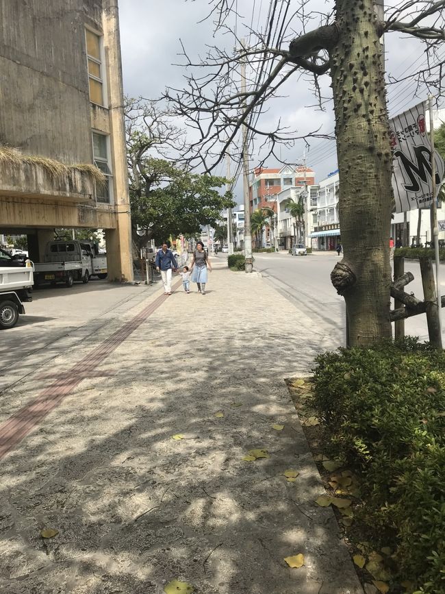 とりあえず市街地へ。<br />市役所前らへん。あったかい。