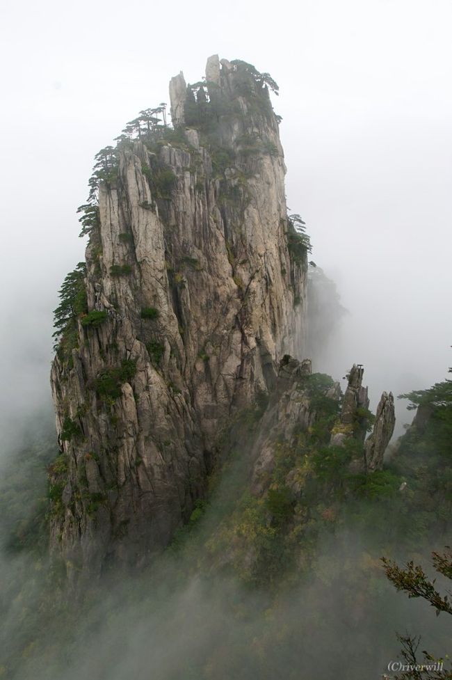 天然黄水晶に植物が含まれている。中国南宋の文人山水画のような