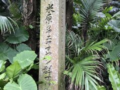 その後、川平湾に向かう途中、
米原のヤエヤマヤシ群落に寄ってみました。 
