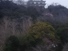 館山に行く度に、車窓から見ていた館山城！
実は、いまだに行ったことがなかった?

今回は、のんびりお泊まりすることだけしか決めていなかったのですが、まだ時間が早いので、「いってみようかぁ」と、いうことに。