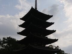興福寺　五重塔（国宝）
塔は仏教の祖釈迦の舎利(遺骨)をおさめる墓標だそうです