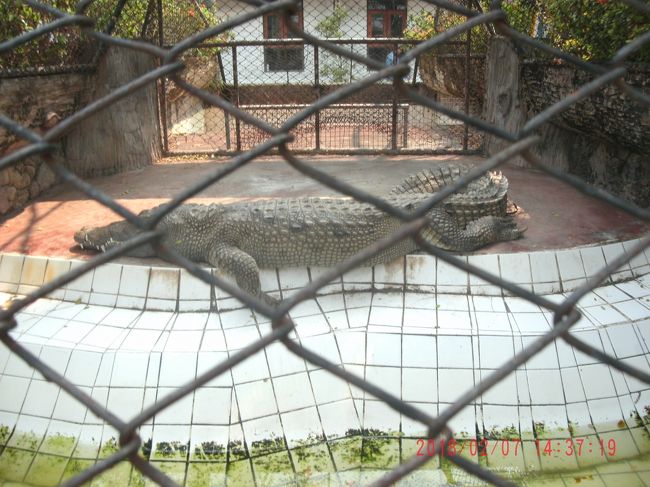 『3月6日訂正SANTAさん資料より・バンコクと言ってもパーク・ナム(サムット・プラカーン)だけどね。』バンコク