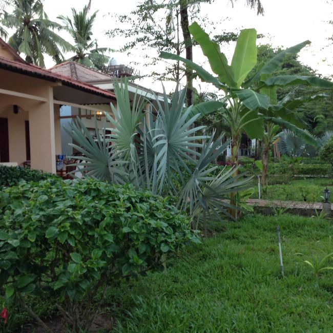 バンガロータイプも結構人気があるみたいでした。