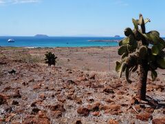 バルトラ島はごらんの様に乾燥していて砂漠の様な雰囲気。