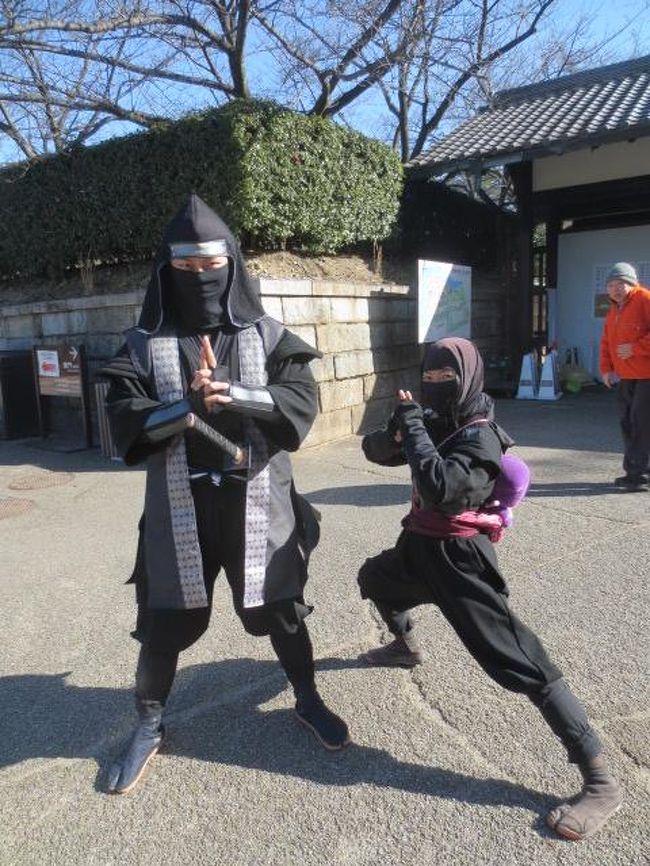 忍者登場。左が服部半蔵で、右が水蓮。尾張言葉で話していた。