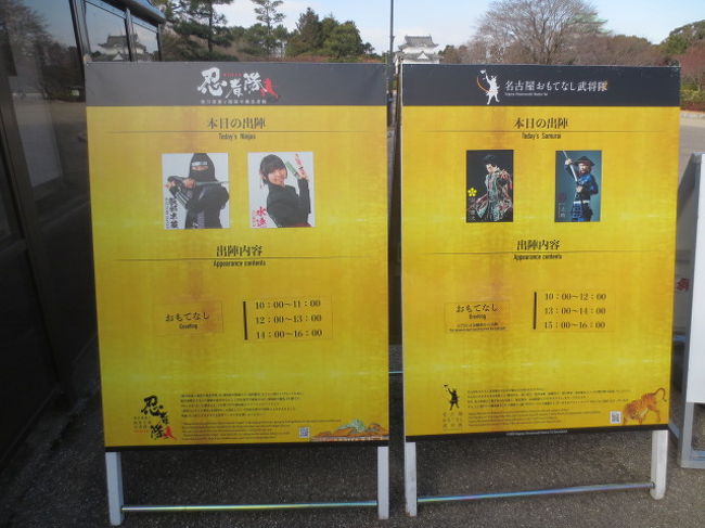 忍者は定期的に現れる。