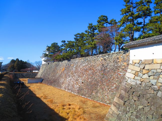 本丸を囲む堀は水がない空堀。北側は水堀になっている。