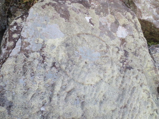 天守は徳川家が建造したが、それ以外は西国大名20家に普請を命じた。築造を命じられた大名が運んできた石に目印をつけるため、記号を刻んでいた。