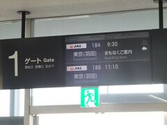 小松市内もバス壊滅的ですが、小松空港へ行くバスは動いていました。小松空港発着の飛行機も一日前の午後くらいから普通に飛ぶように。小松も雪残っているとはいえ、福井の半分くらい。普段はANAですが、今回はなんかANAの便が連休初日だからか2万近くしたので、6000円以上安かったJALで羽田へ。