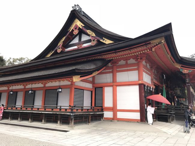 東山ひとり歩き 知恩院 高台寺から八坂神社へ 東山 祇園 北白川 京都 の旅行記 ブログ By のんちゅさん フォートラベル
