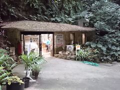 空港に行く途中、時間があるのでサビチ洞に寄ってみた。入場料1,250円。